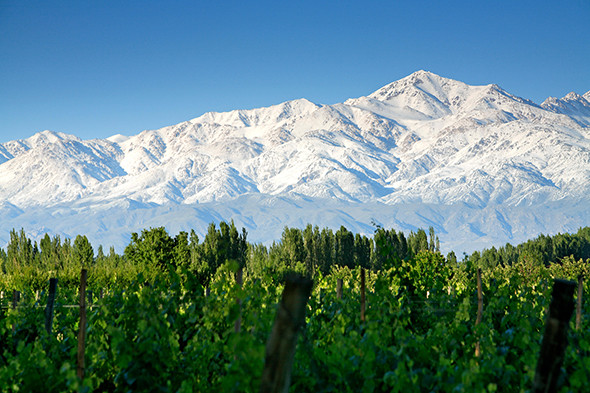 Snow-covered Andes Mountains and vineyards, near Tupungato, Mendoza Province, Argentina